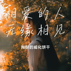 相爱的人无缘相见-dj阿智版