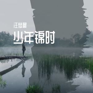 少年锦时