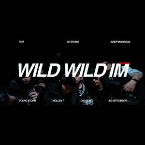 WILD WILD IM