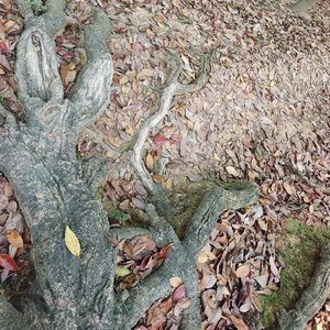 《最痛时候》中文