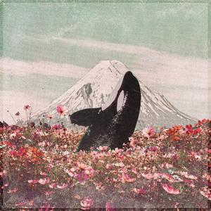 How U Know Peace? (feat. E L U C I D & August Fanon)