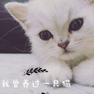 李温馨 - 我曾养过一只猫