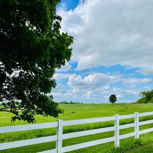 Blue Skies and Sunshine in the Rain
