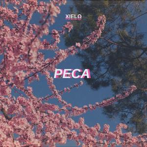 Peca