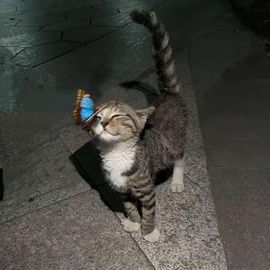 Long Nights. @河南说唱之神 x 反派英雄 Type Beat