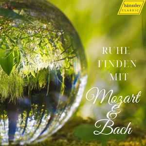 Sinfonia Concertante K320e