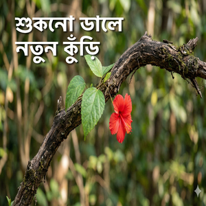 শুকনো ডালে নতুন কুঁড়ি