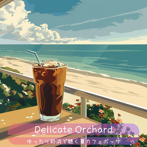 Dancing Sunlight Shadows