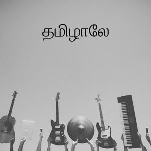 யார்ரா இந்த பொண்ணு