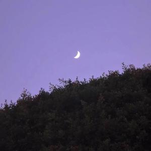 暧昧三十三天(女声cover）