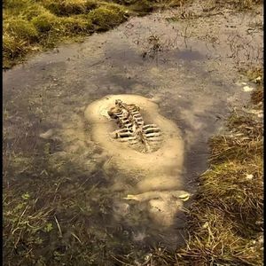 【FREE BEAT】“Please bury me” Trap Type Beat