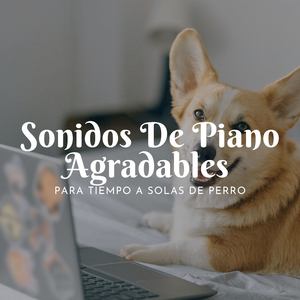 Canción De Cuna Para Patitas Solitarias