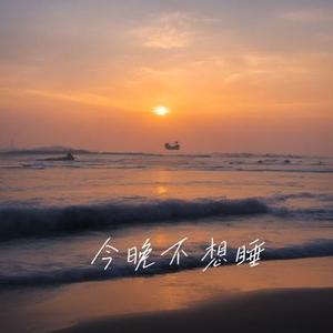 今晚不想睡