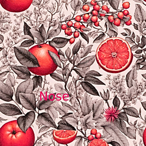 Nose