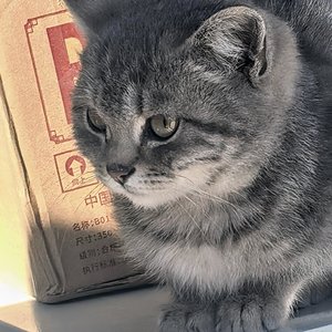 爱你和理智 不会同一时间存在