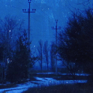 anamnesis (speed up)