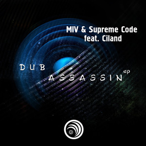 Dub Assassin (Original Mix)