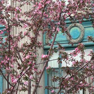 daydream prod.by Gr33nart