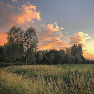 Crumble 前奏不降调0.8×