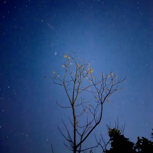 破茧成蝶