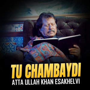 Tu Chambay Di