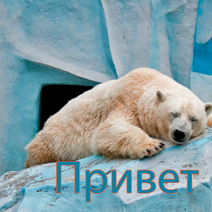 Привет