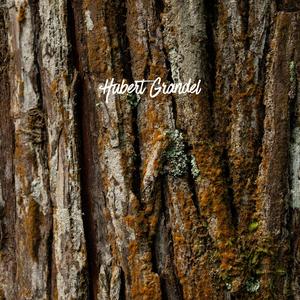 Den Kopf in den Sand