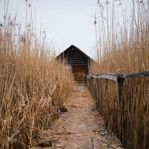 Cinematic Dramatic Emotional