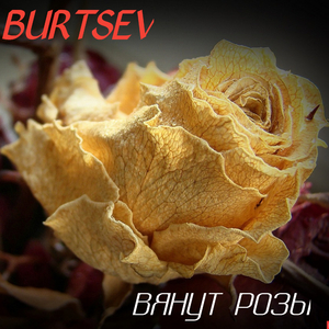 Вянут розы