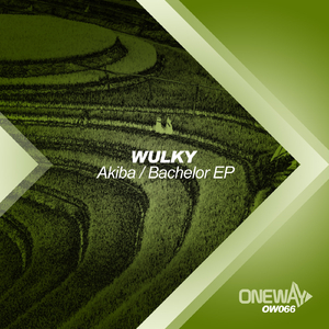 Akiba (Original Mix)