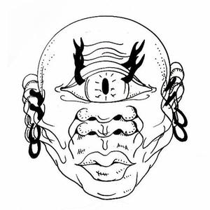 高速路与迁徙鸟