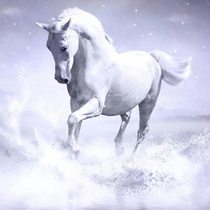 Lil Nas X-Old Town Road(TG Bootleg)（TG. remix）