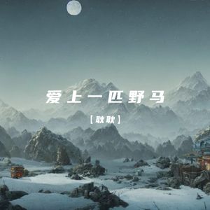 爱上一匹野马