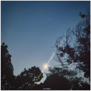 胶卷里剩下的甲乙丙丁