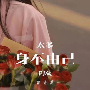 太多身不由己 (DJ版)