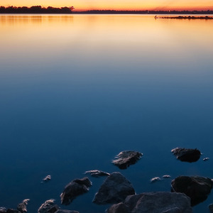 风花雪月 (Dj旋律版)