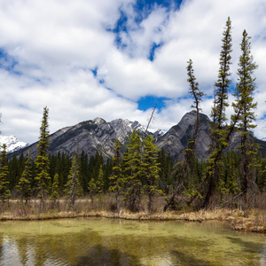 哪有什么避风港