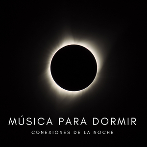 Chimenea Para Calentar La Habitación