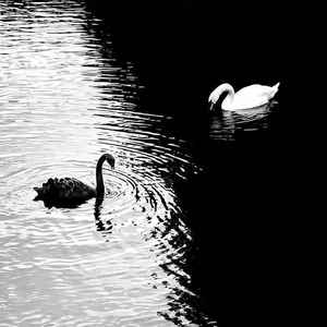 跟着节奏嗨起来