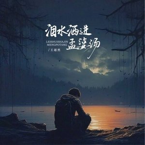 泪水洒进孟婆汤（翻自 何欢浪）
