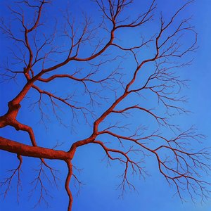 我们的灵魂会在几岁死去？