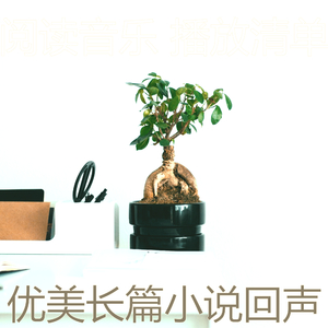 抚慰的图书回忆