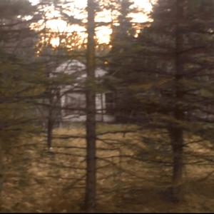 wasteyourtime (feat. shini)