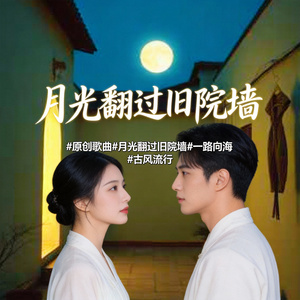 月光翻过旧院墙