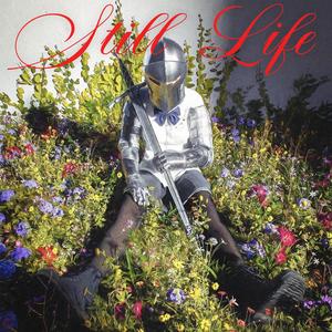 Lullaby (feat. ssolumm)