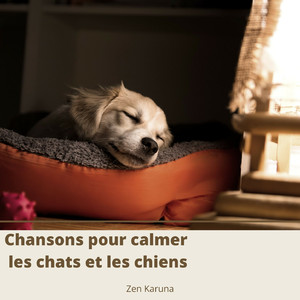Des sons pour que votre chat se détende