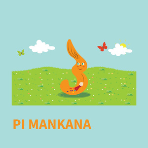 pi mankana