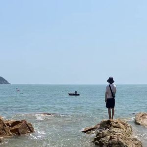 柏拉图人生（Live）