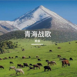 青海战歌