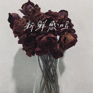 新鲜感吗